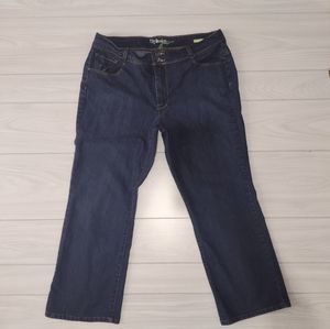 Style & Co Womens Jeans Size 16 w Skinny Leg Dark Wash Blue Denim